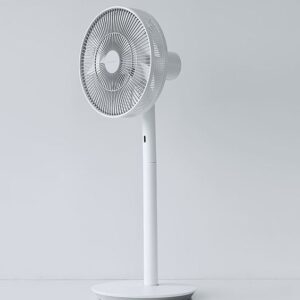 royal elegant unique stand fan